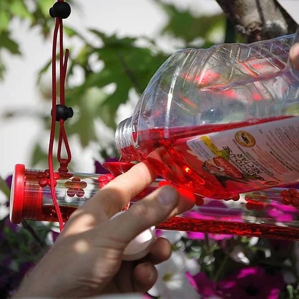 Flower Bar Hummingbird Feeder